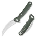Lacerta-04G