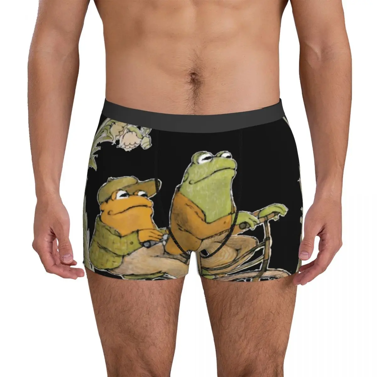 

Frog And Toad Be Gay Underwear Bisexual Men Panties Print Sexy Boxershorts Hot Boxer Brief Plus Size