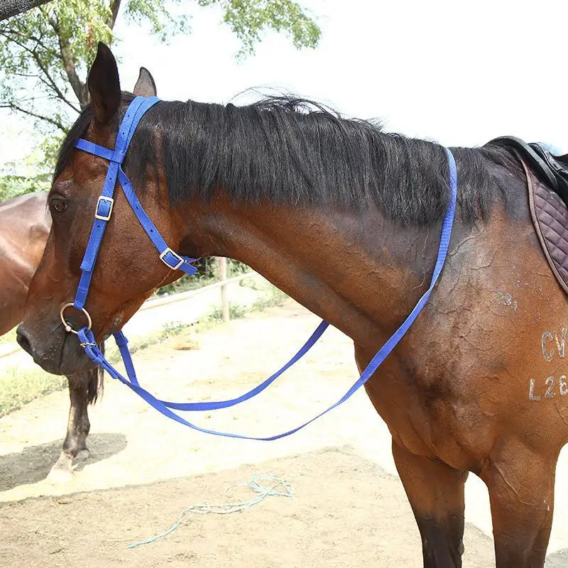 1 PC Horse Halter COLLAR Reins ขา GUARD อุปกรณ์ขี่ม้าสําหรับ Horse Halters