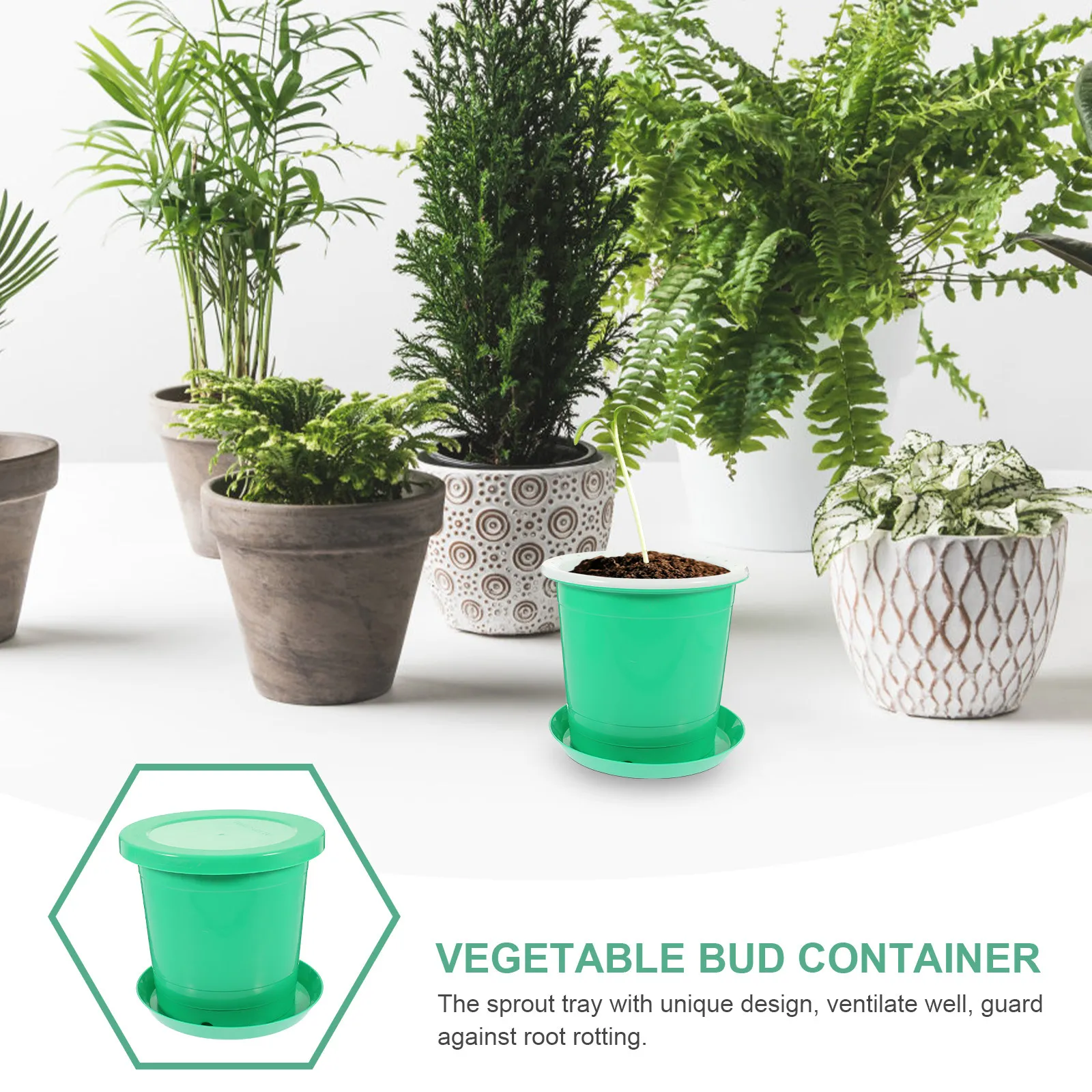 Cylindrical Bean Sprouter for Home Garden – High-Yield Vegetable Sprouting Box with Green Bud Container