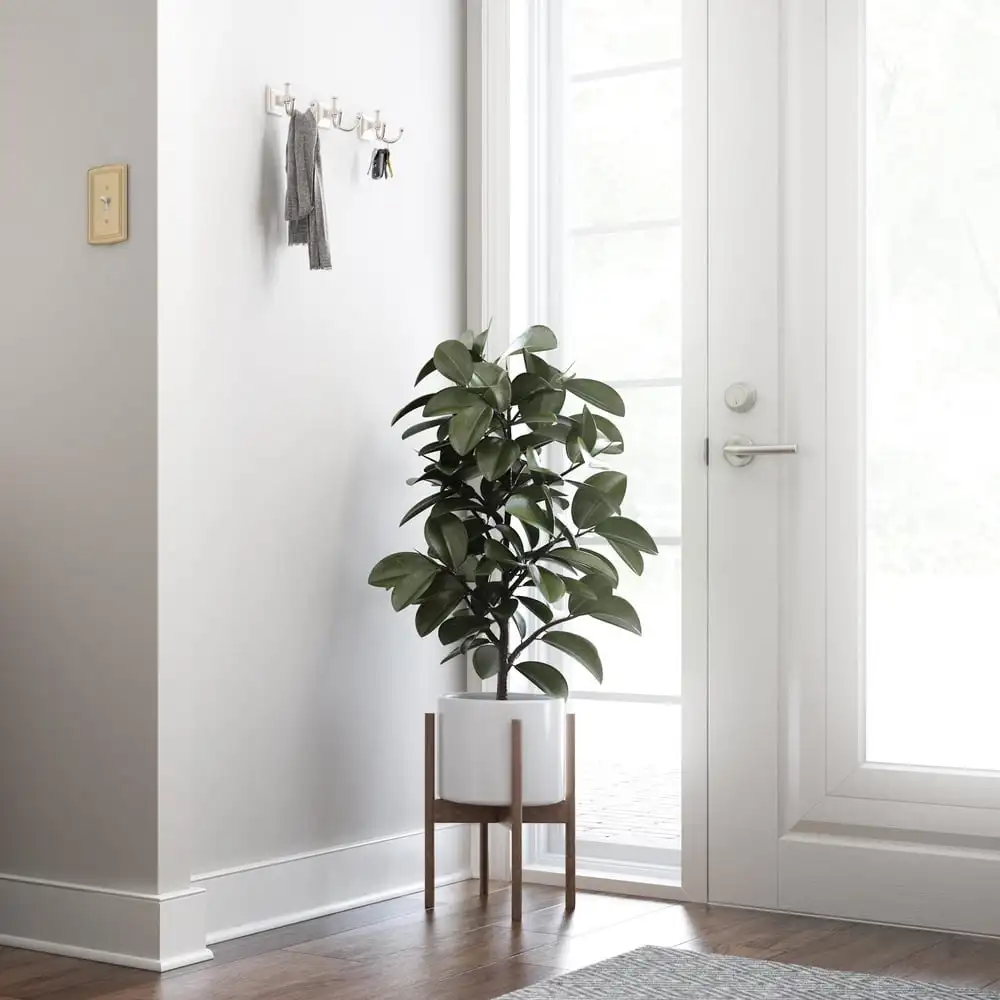 Satijnnikkel Eiffelhaak