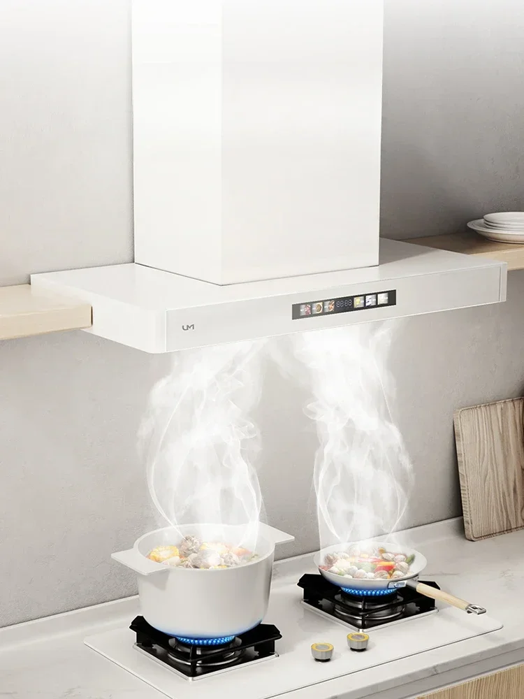 Frequency Conversion Range Hood Gas Stove Suit  Top Suction Internet Celebrity Ventilator and Cooking Stove Elimination Package