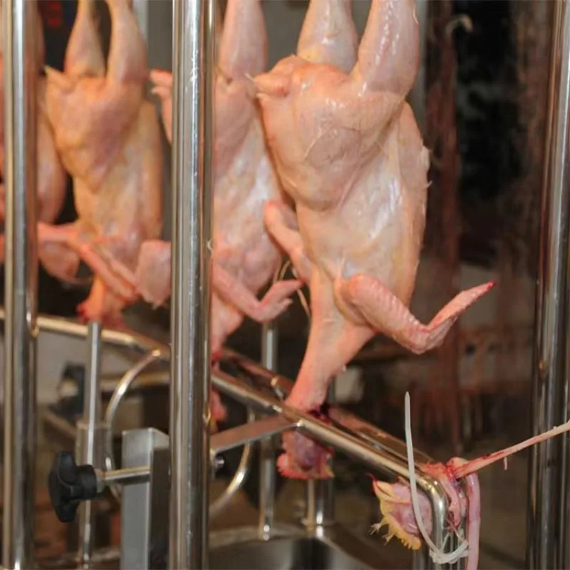 Poultry Slaughter Line Chicken Slaughterhouse Machine Motor Cattle Application Custom