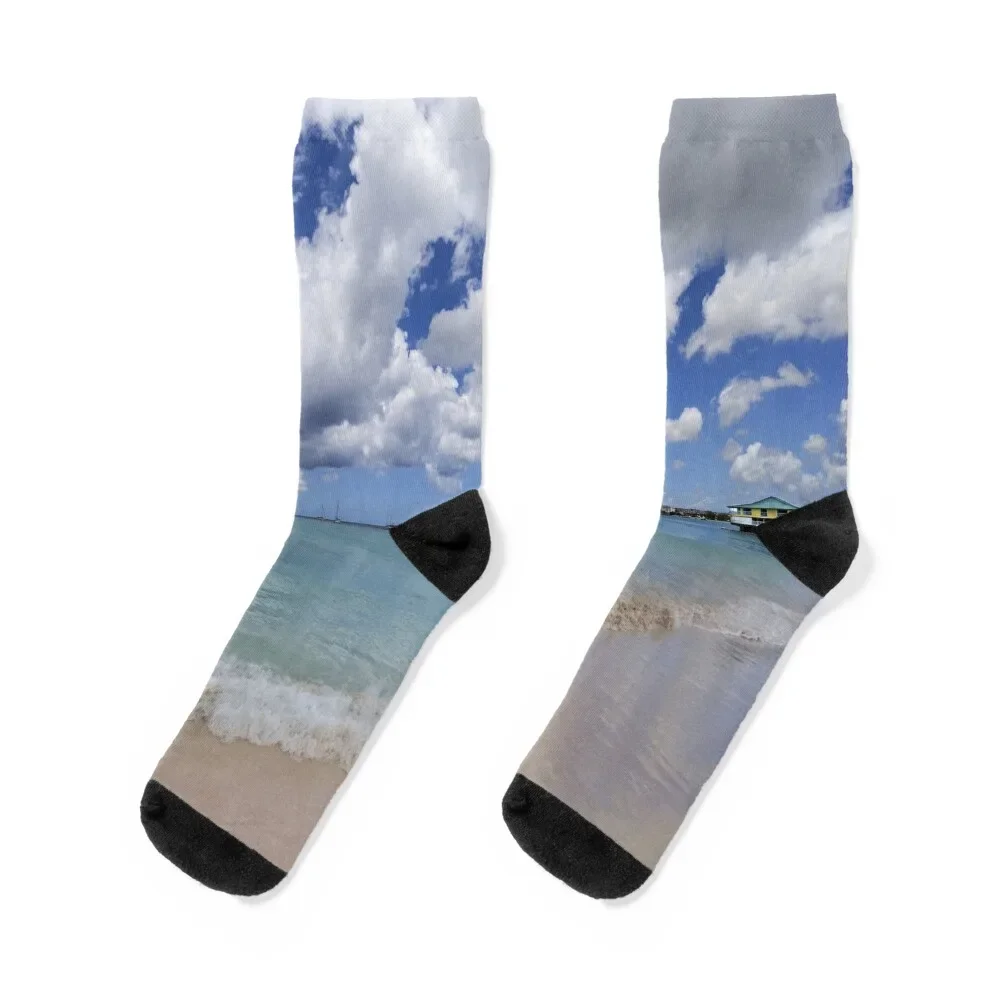 

Barbados Summer Day Socks Heating sock warm winter Socks Male Women's