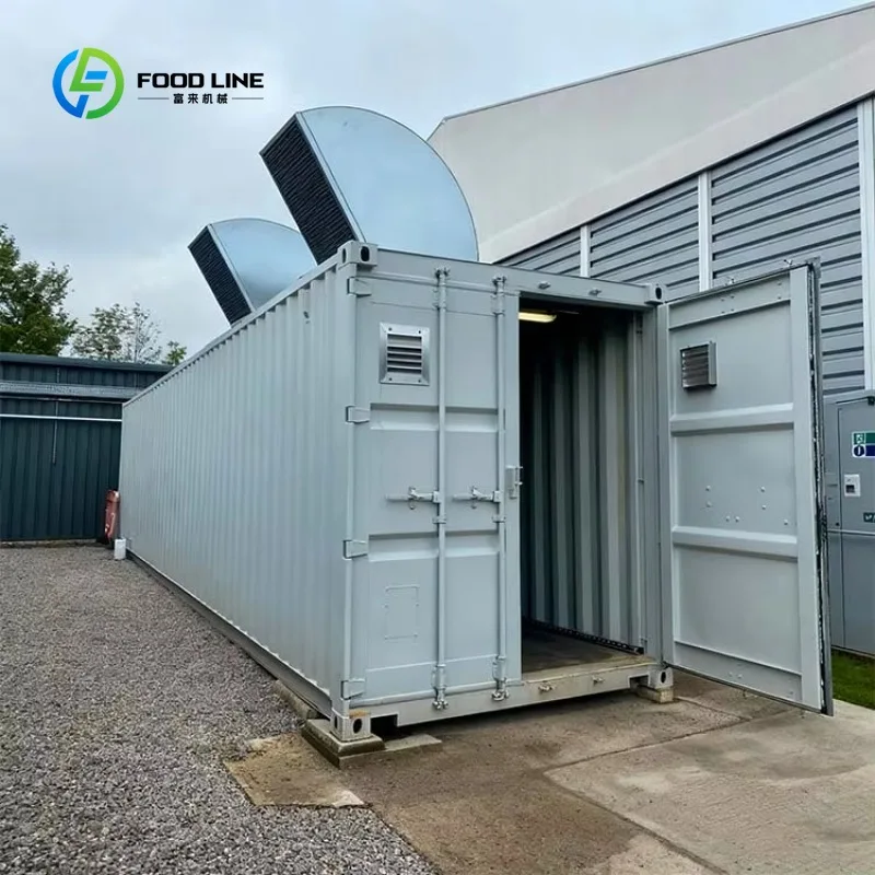 Customized 40ft Container Hydroponic Plant Factory with NFT System Automatic Growing Farm Featuring Pump and PVC