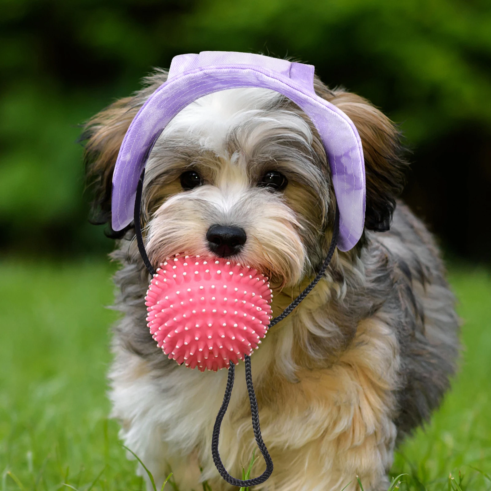 

Dog Hats Pet Baseball Cap for Small Dogs Summer Puppy Bucket Purple Adjustable Sun Men and Women
