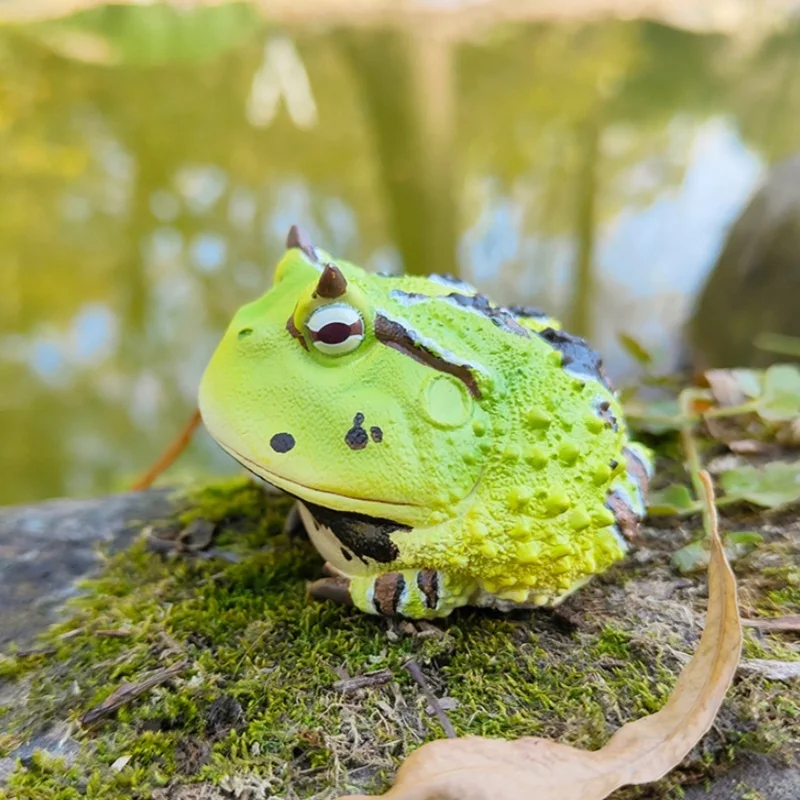 Best-seller! [Em estoque] Série oficial Animal Planet 'Chubby & Happy' # 13 - Modelo de sapo |   Figura e decoração colecionáveis premium