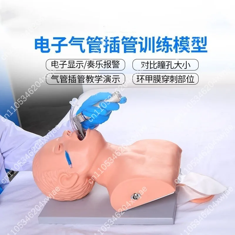Electronic Endotracheal Intubation Training Model Medical Teaching Manikin For Airway Management Student Practice