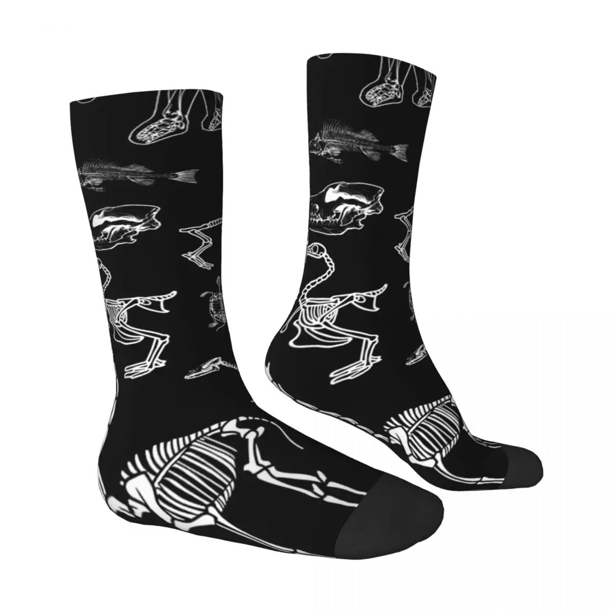 Scheletri animali fossili di dinosauro calze Design moda calzini invernali antibatterici calzini donna uomo sport all'aria aperta calzini morbidi