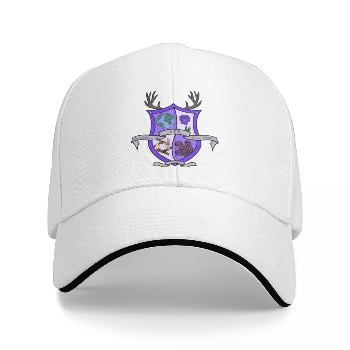 Delta Gamma Chi Insignia Merch Baseball Cap Ball Cap Visor Snap Back Hat fashionable Women Beach Fashion Men's