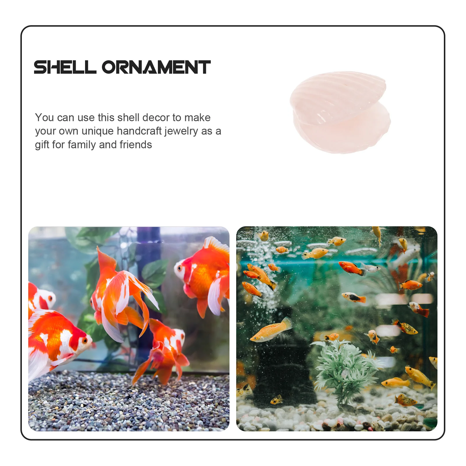 

Seashell Decoration Shell Aquarium Natural Durable Design Fish Tank Decor DIY Craft Handmade Home Ornament Sea Shells