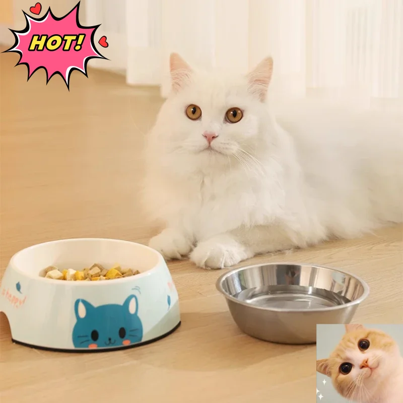 

1pc Cat Cartoon Bowl Pets Double Layer Water Food Feed Dog Bowls Detachable Stainless Steel Basin Patterns Non Slip Pet Supplies