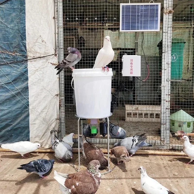 220V Intelligent Automatic Poultry Feeder Funnel Pellet Chicken Duck Pigeon Cage Feeding Machine