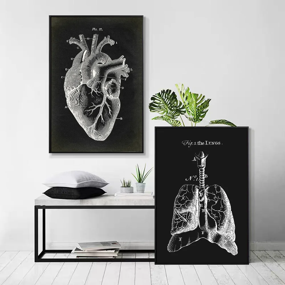 Human Anatomy Muscles System Art Whitepaper Poster HD Quality Poster Wall Art Painting Study Room Wall Decor view 4