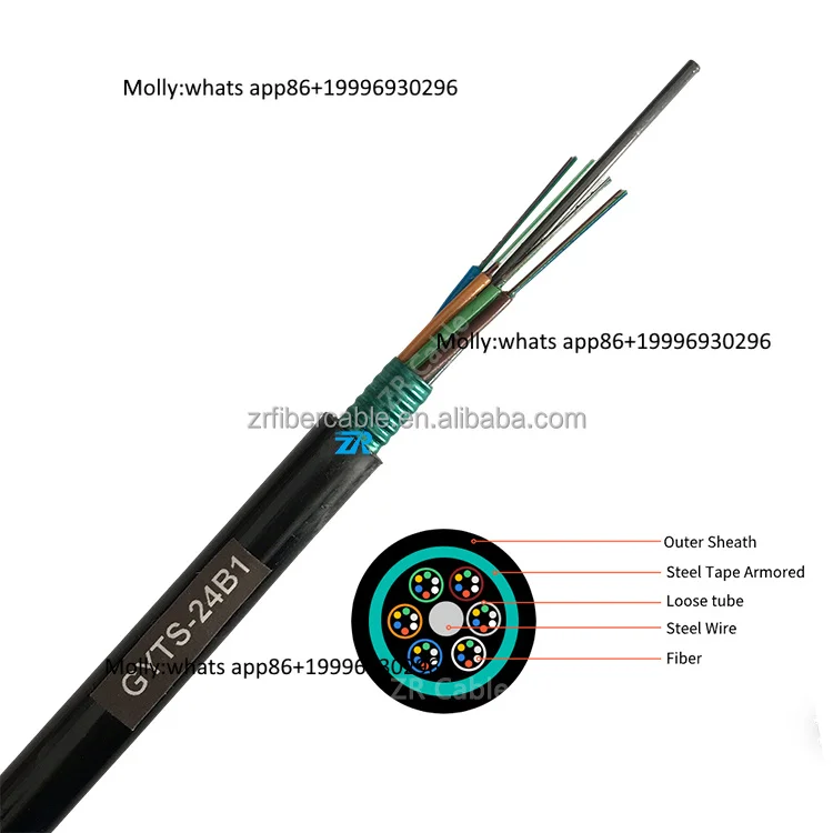 

Outdoor GYTA 2 4 6 8 12 16 24 36 48 64 72 96 128 144 Core Fo hilo Duct Direct Buried Anti Rodent Armored Fiber Optic Cable GYTS