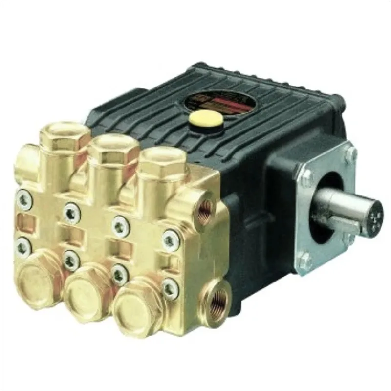 Manufacture Italian High Pressure Pump 100-250Bar ,  Plunger   Washer, Interpump WS201/WS251/W98