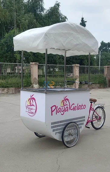 Mobile Ice Cream Cart Street Food Bike Popsicle Freezer Display Cabinet Showcase Bicycle Vending Car