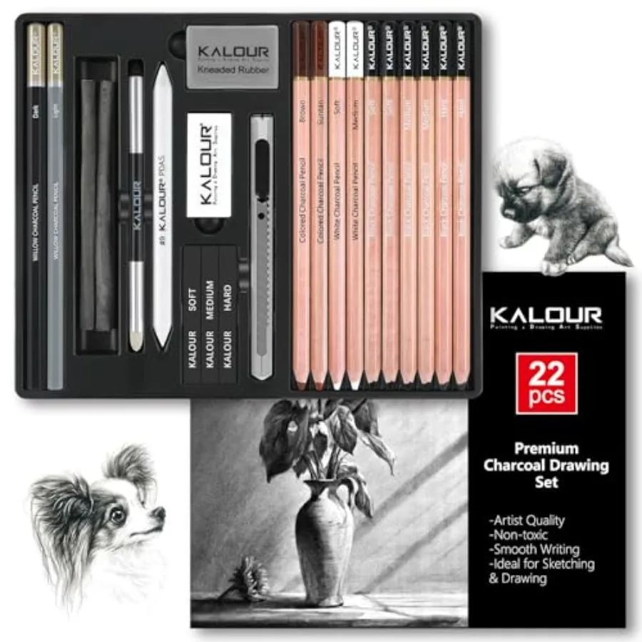 22pcs Charcoal Drawing Set, Professional Art Supplies, Black and White Charcoal Pencils for Drawing, Sketching, Shading, Blendi