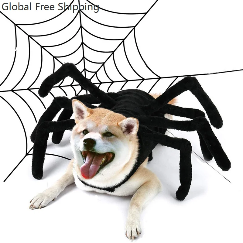 

Halloween Party Pet Costume Spider Dress Up Cat Small And Medium Dog Creative Festival Transformation Puppy Role Playing Suit