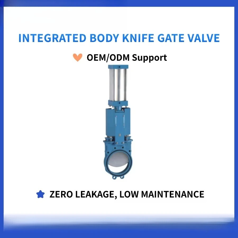 Two-way gate valve, leak-free, corrosion-resistant, available in ASME CLASS 150 model