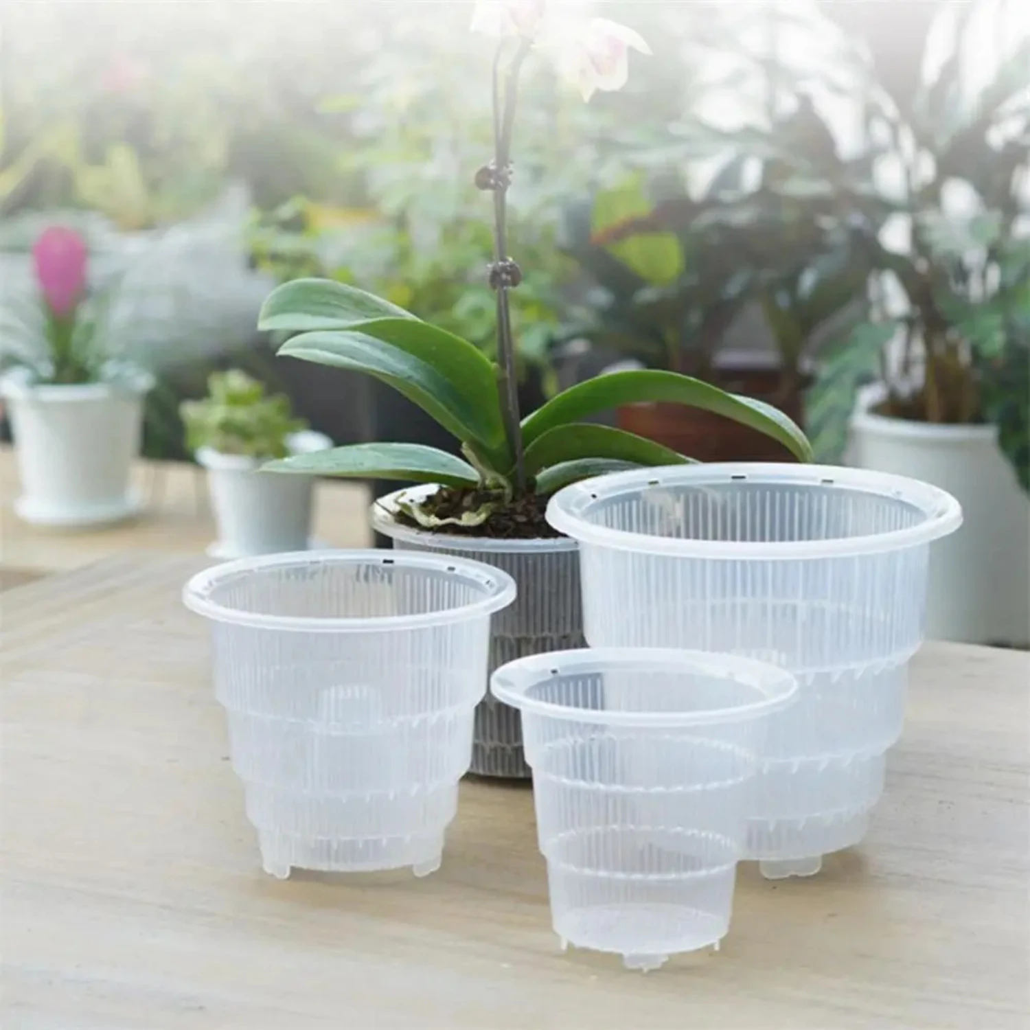 Breathable Transparent Meshpot Flower Pot with Root Control - Concise Office Decor - Orchid Plant Pots for Drained Plant Contain