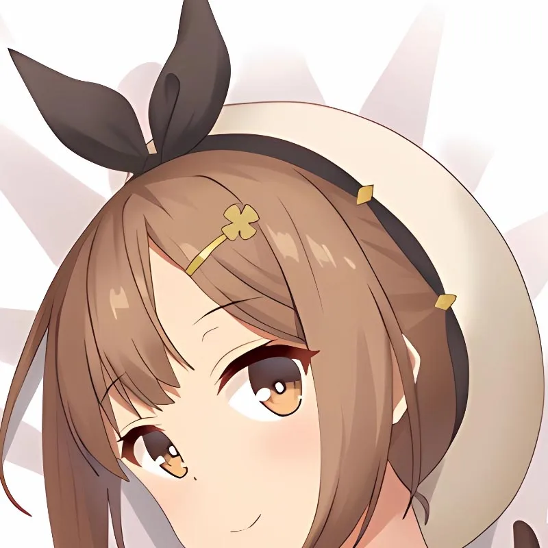 DIY Personalized Dakimakura Anime Reisalin Stout Pillowcase Double-sided Print Body Pillow Cover Case