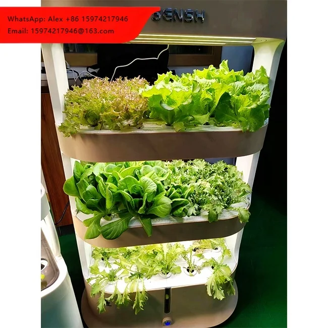 Chinese Factory Low Price 4 -Tier Hydroponic Tower For Indoor Planting With White Brown And Green
