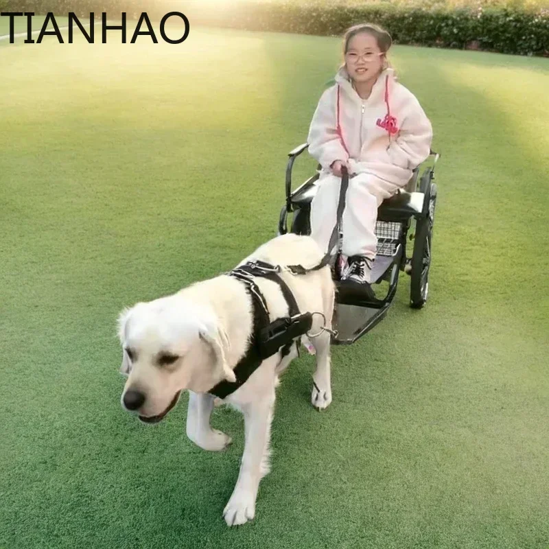 Dog Pull Pet Trailer Kit for Human Riding and Dog Walking Suitable for Samoyed Golden Retriever Husky Labrador