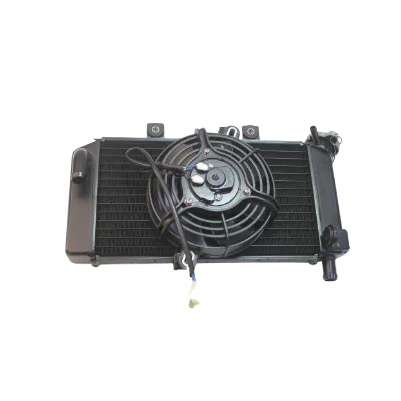For Motorcycle Accessories 250NK 250SR Water Tank Fan Radiator Assembly