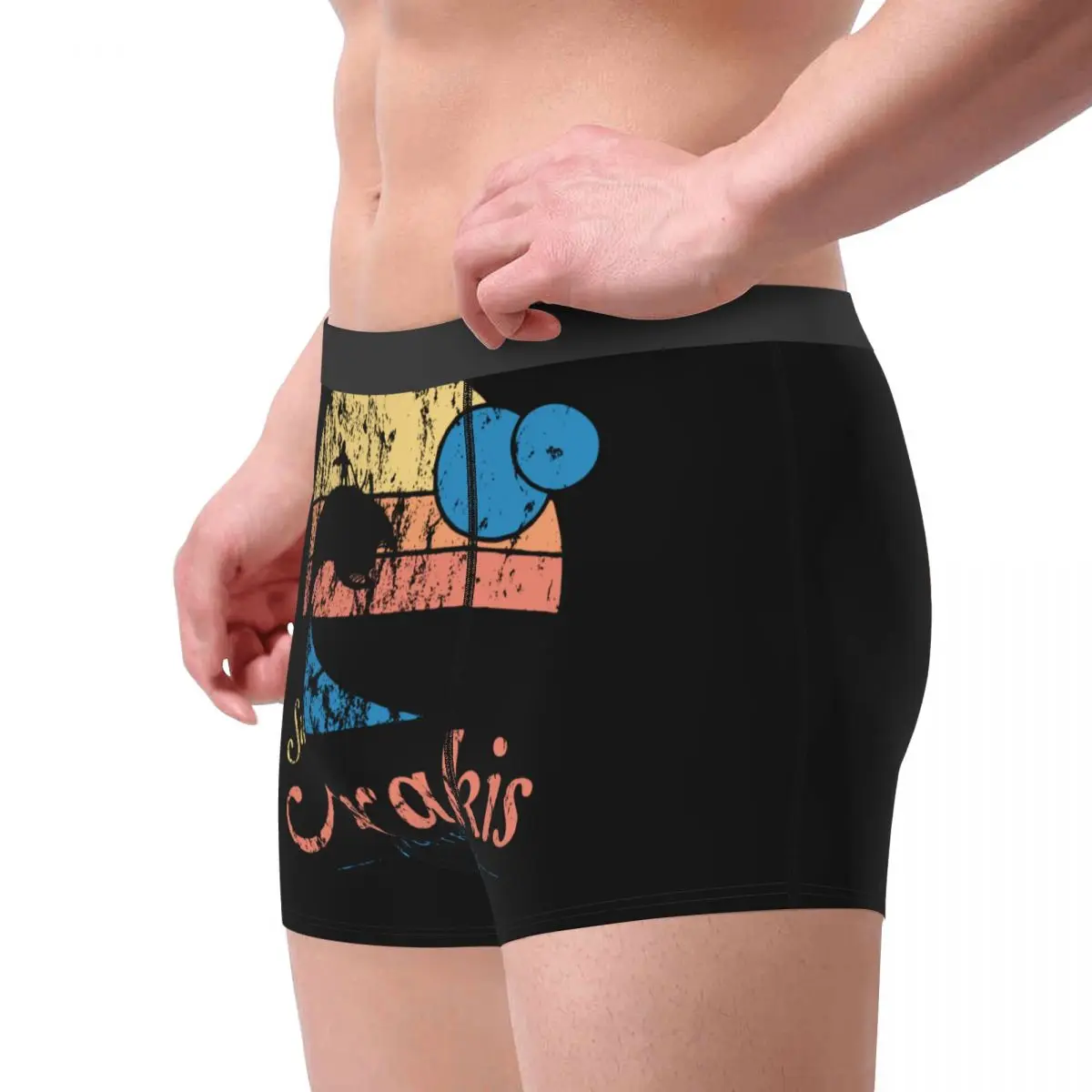 Men's Boxer Shorts Panties Visit Arrakis Vintage Distressed Surf Dune Sci Fi Soft Underwear Sandworm Fiction Male Underpants