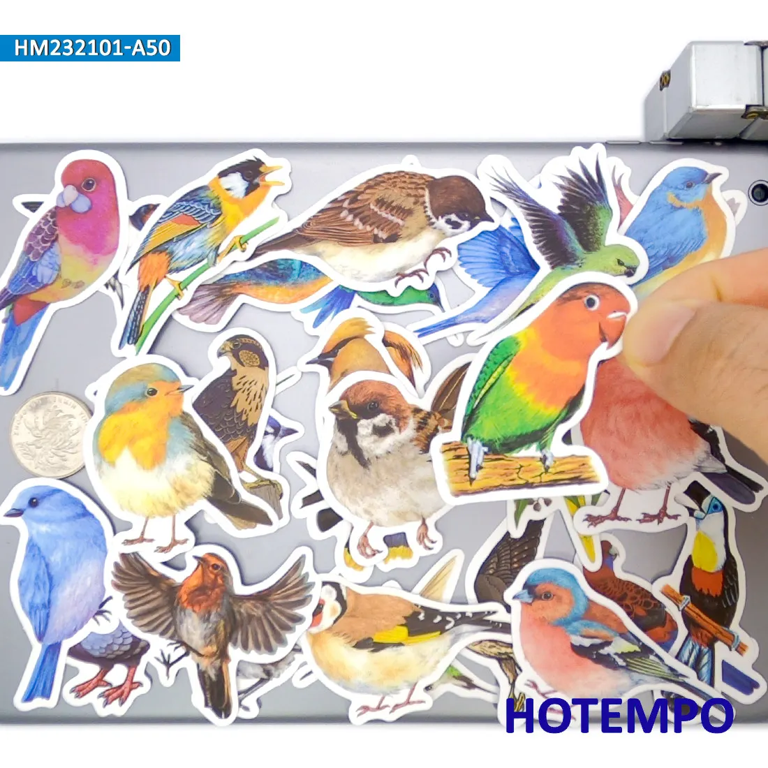鳥のステッカーセット、水彩スタイル、かわいいカラフルな羽の動物、装飾、ノートパソコン、車、電話、バイク、スクラップブック、荷物に適しています、面白いステッカーパック、20/30/50枚