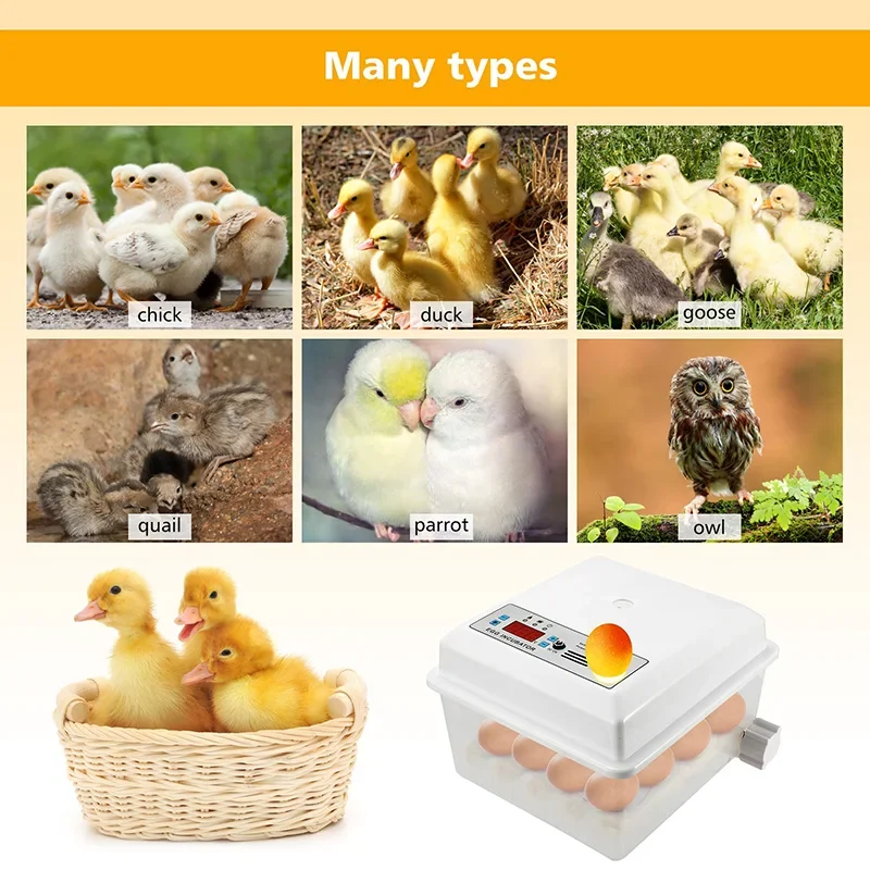 Automatic Egg Incubator 16 Eggs Farm/Household Multifunction Incubator Control System For Bird Goose Chicken Duck Quail Supplies