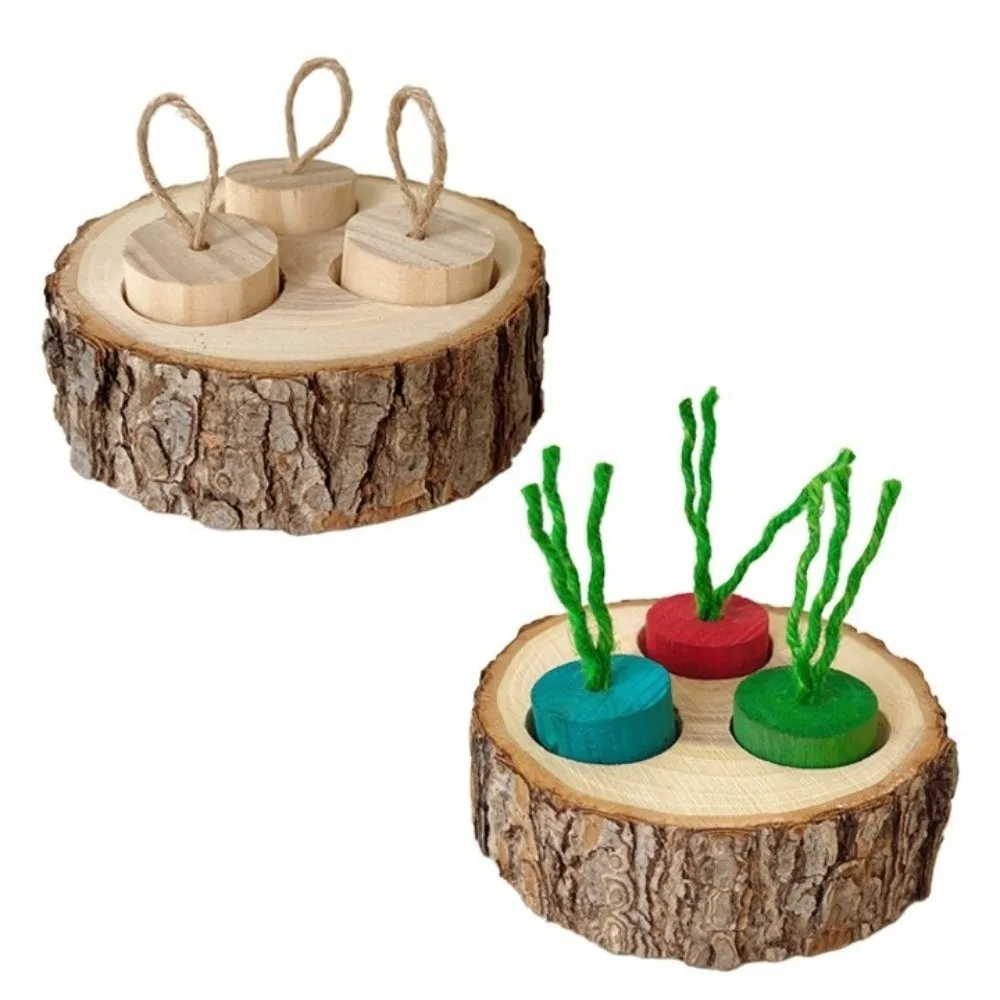 New Natural Wood Bunny Round Shaped 3-Grid Hamster Foraging Bite-resistant Rabbit Chewing Pet Supplies