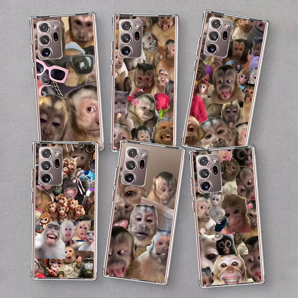 Creative Monkey Pat… - image