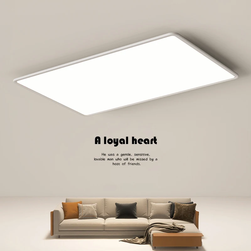2026 New Ultra-thin Tri-proof Light Led Chandelier  Living Room Light Super Bright Balcony Light Corridor Aisle Bedroom Light