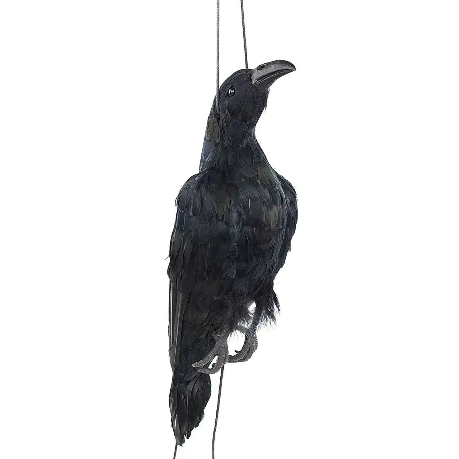 Realistic Hanging Dead Crow Decoy Lifesize Extra Large Black Feathered Crow