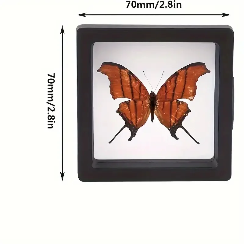 20 piezas Clearview 3D vitrinas flotantes caja de almacenamiento de joyería acrílica a prueba de polvo con película elástica organizador colgante transparente