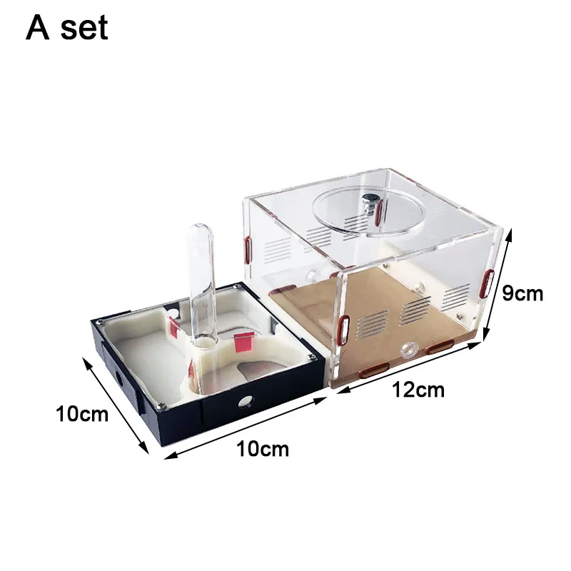 Unbegrenzte Expansion Ant Farm Acryl Ameisennest mit Fütterungsbereich Gips Pet Anthill Workshop Ameisenhaus Feuchtigkeitsspendender Wasserturm – Detail 1