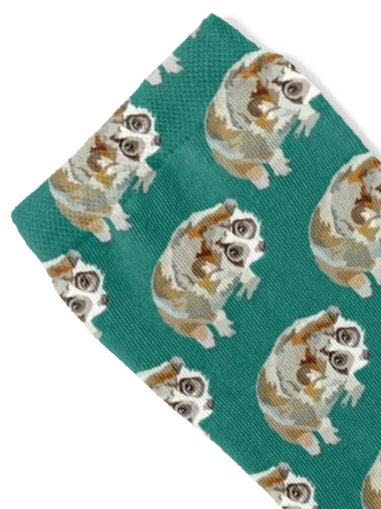 Pygmy Slow Loris Socks