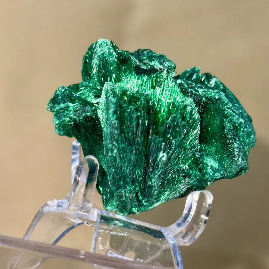 New SUPPLY RARE Natural Spiculate Malachite Mineral Rock Specimens Top-Grade Energy Gemstones Collection Eye Stones Shows 2025