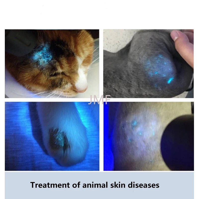 Handheld Wood Lamp for Pet Cat and Dog Skin Detection 365 Nanometer UV Irradiation Veterinary Equipment