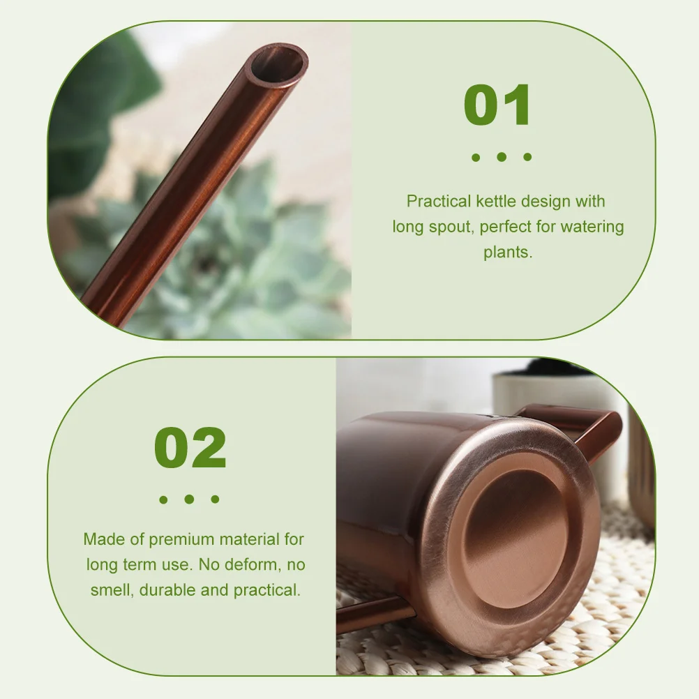 

Plant Watering Can Stainless Steel Small Watering Pot Long Spout Gardening Kettle for Succulents Indoor Outdoor Plants