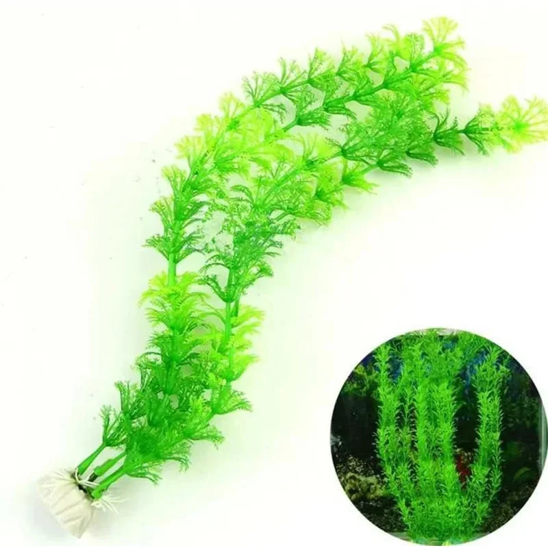 Thumbnail 3 - #47 Latest Decorative Aquarium Plants Offers