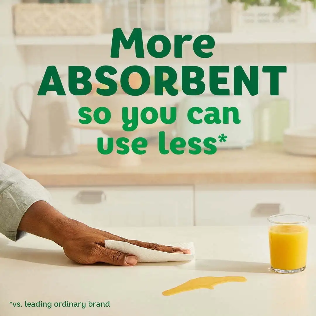 Paper Towels Select-A-Size, 10 Triple Rolls