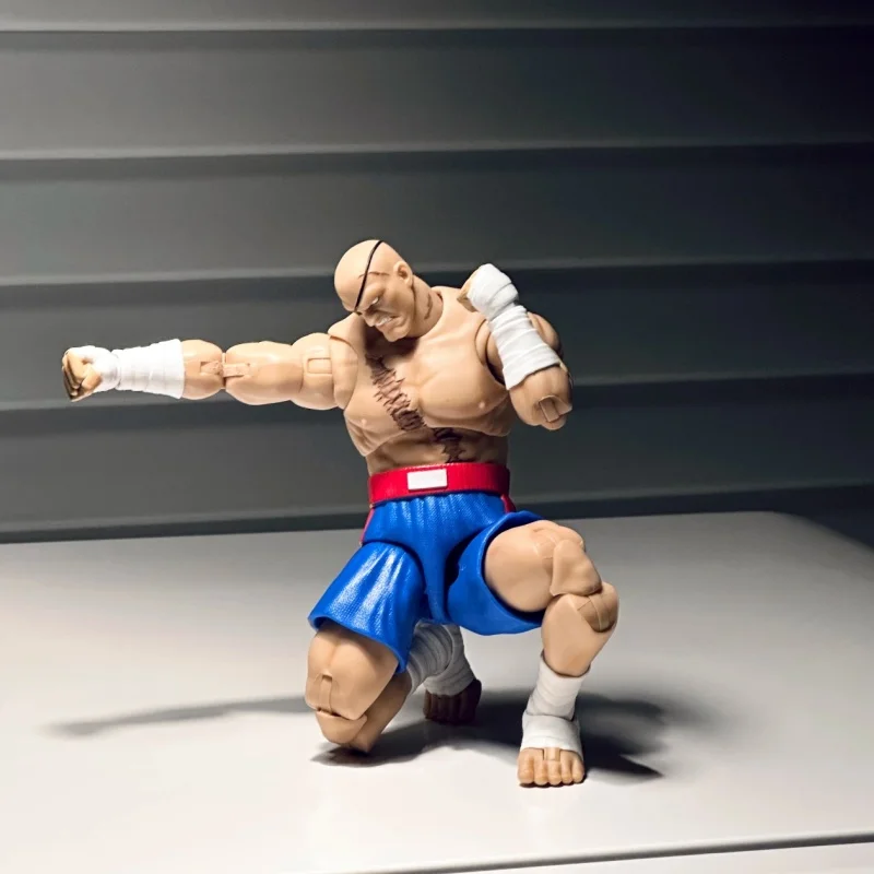 

Jada Street Fighter Blanka Balrog Sagat 1/12 6 Inches Action Figure Anime Peripheral Gift For Boys Collectable Desktopornaments