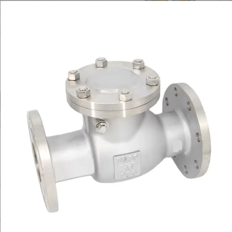 Leakproof, High Quality Pn16 Stainless Steel Butterfly Check Valve with Hydraulic Damper