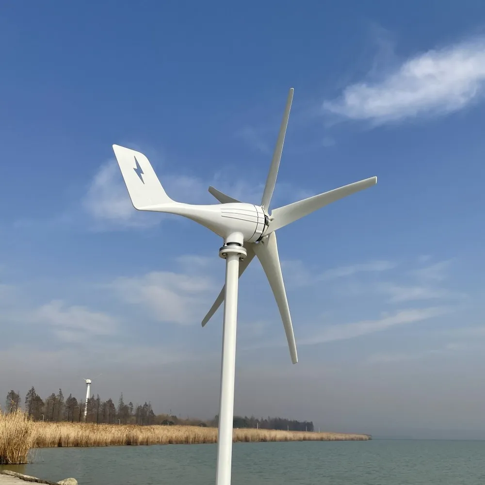 

5 Blades Small Windmill for Home With MPPT Charge Controller 3000W 12V 24V 48V Wind Power Generator 3 Phase AC FOR YOU