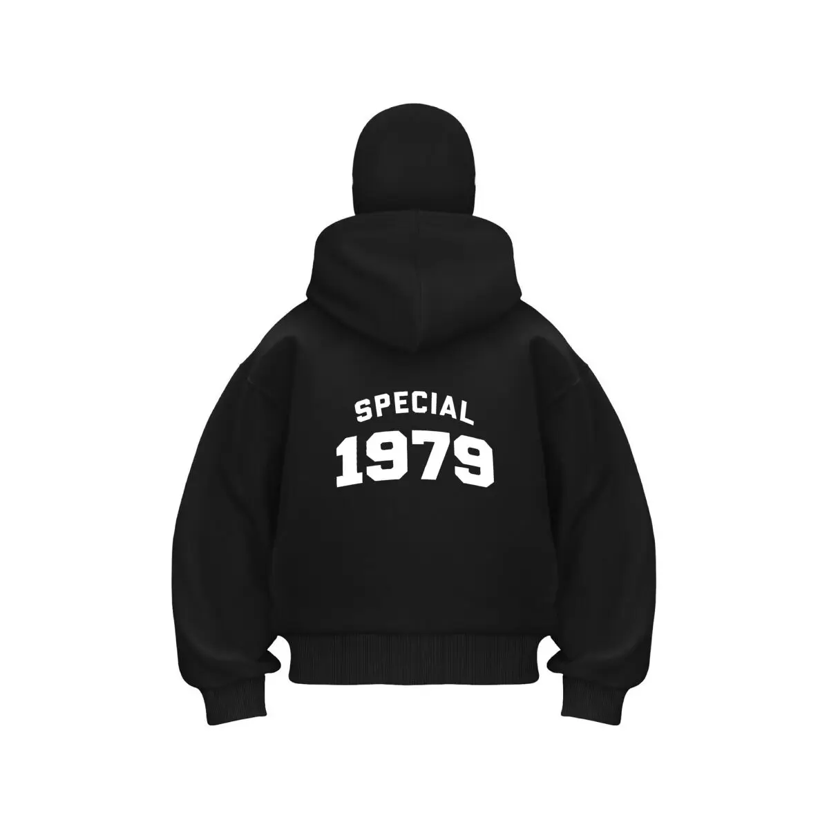 

Special 1979 Retro - Year, Nostalgic - Text Graphic Art Design Men's Balaclava Zip Hoodie Warm Winter Outdoor Casual Sweatshirt