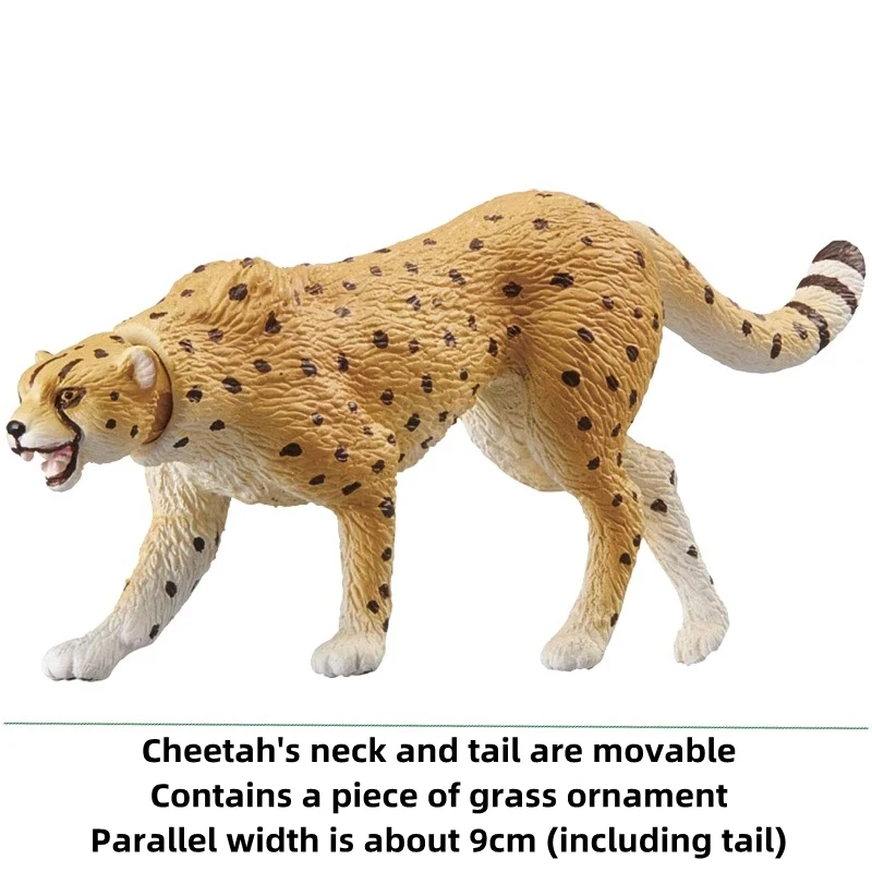 TOMY Anlia animal model meerkat lion cheetah figure simulation children's toy collection doll ornaments boy birthday gift