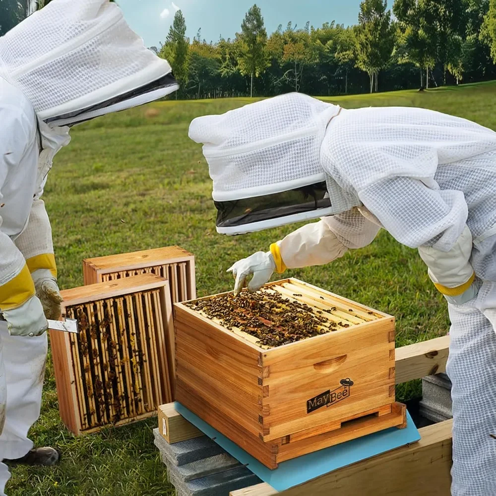 

10-Frame Langstroth Beehive Dipped in 100% Beeswax, Complete Bee Hives and Supplies Starter Kit Includes 2 Deep Hive Bee Boxes a